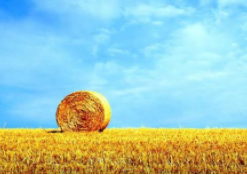 51配资 - 股票配资门户网,日照股票配资,杠杆配资平台